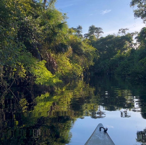 Meet your Posher, Diane - Picture 2 of 6